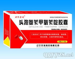 世紀鑫威 一站式專業代理服務，助您輕松拓展優質產品資源